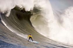 开云体育-东契奇统治全场，尼克斯力克山东队背后的篮球哲学