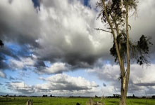 开云官方app入口-英格兰队获得一场重要胜利，成功杀入四强