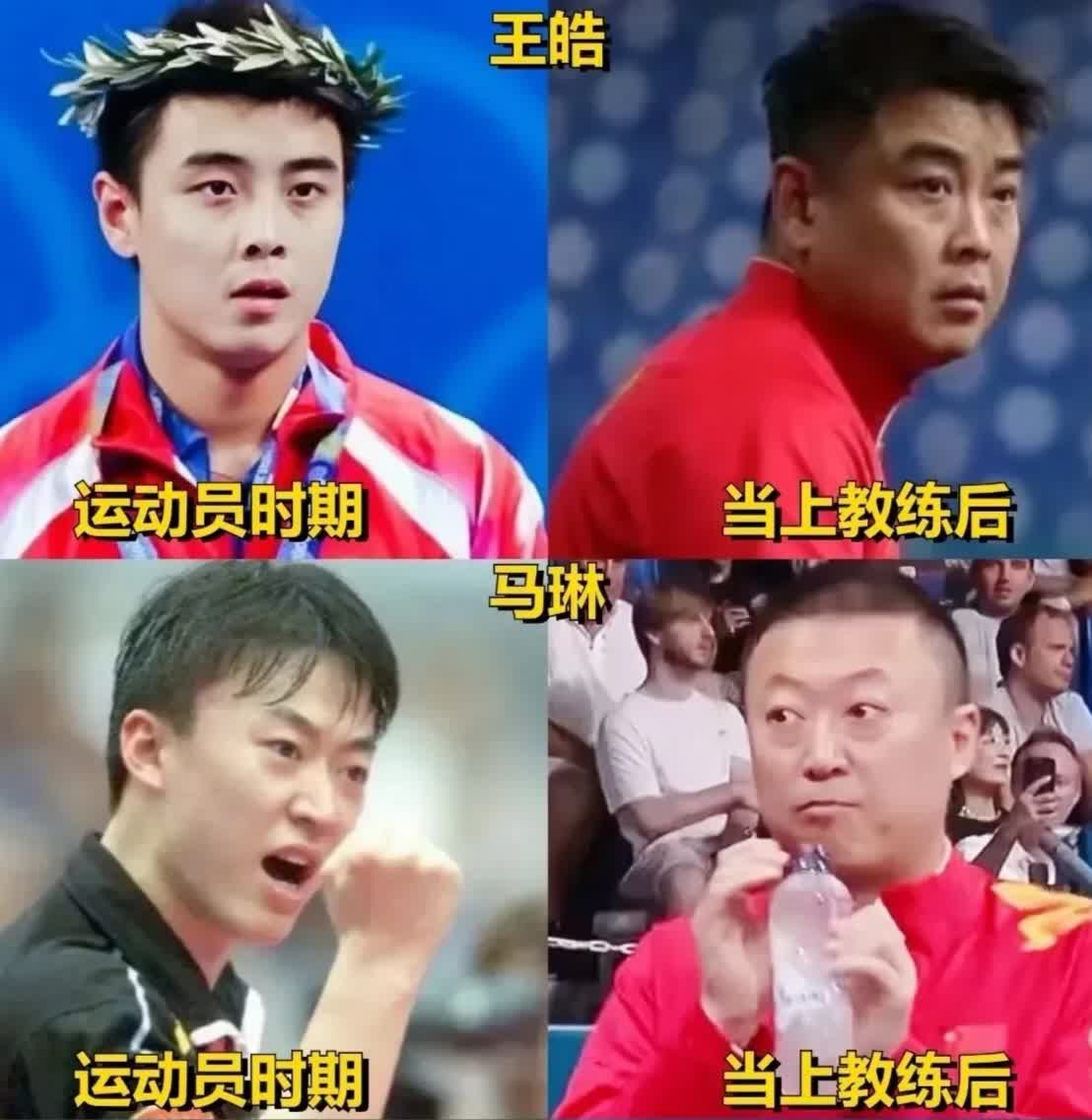 关于日本乒乓球队强势比利时乒乓球队，王皓爆发神勇的信息