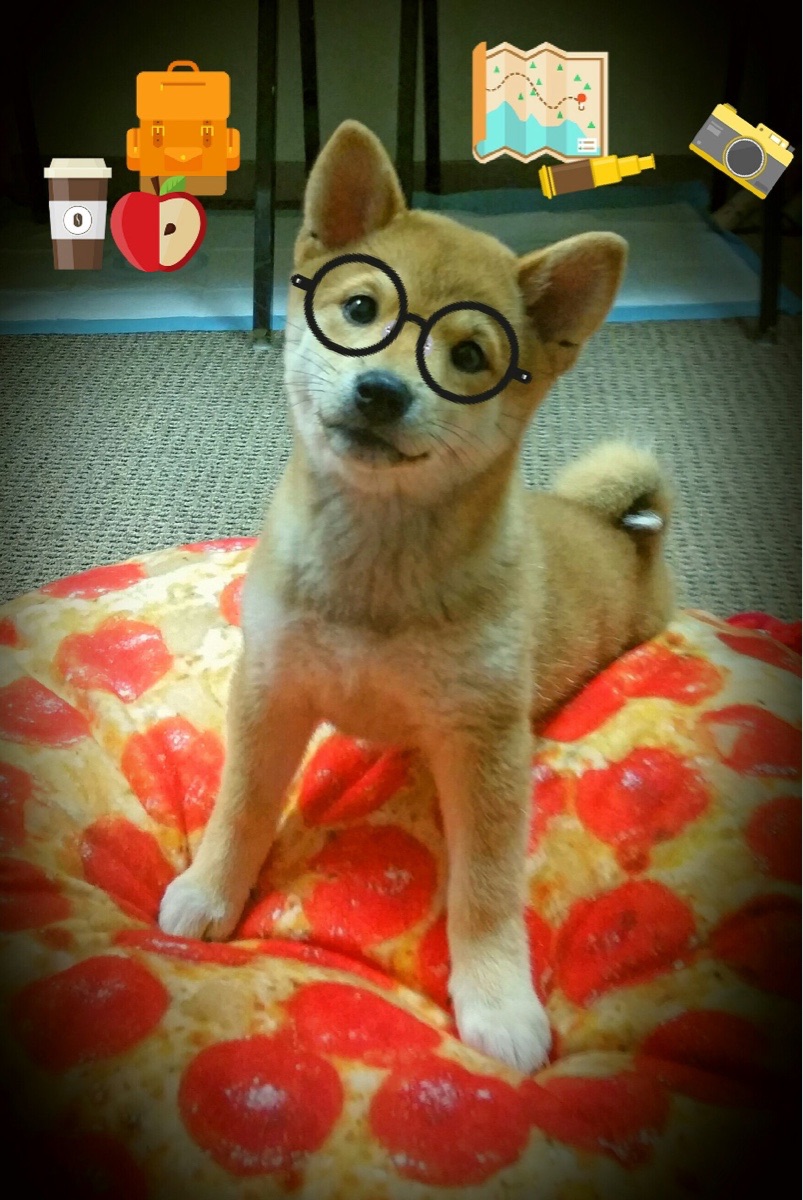 足球与战火的双重奏，阿尔瓦雷斯爆发背后的乌克兰火力启示